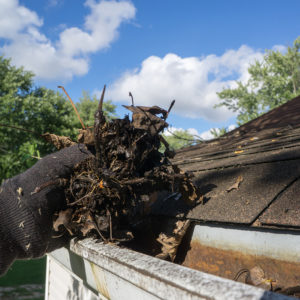 East Brunswick gutter cleaning being done by gloved hand